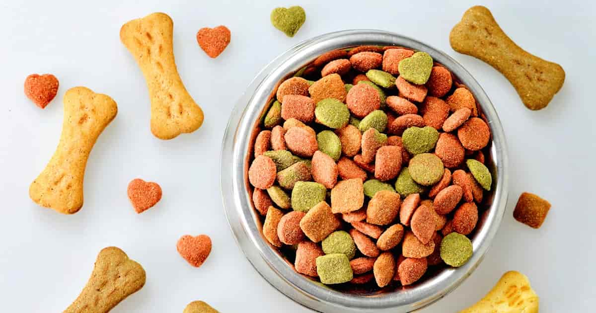 غذای سگ اقتصادی و خوشمزه مناسب برای همه نژادها